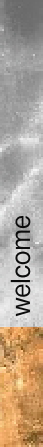 wp1521f1df.png